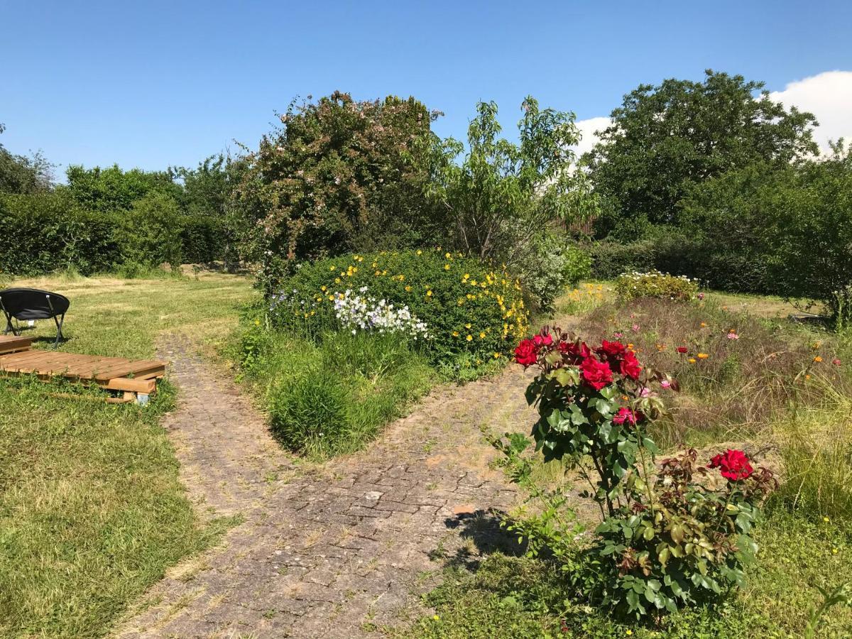 Les Gites De Belle Roche Mâcon Eksteriør billede